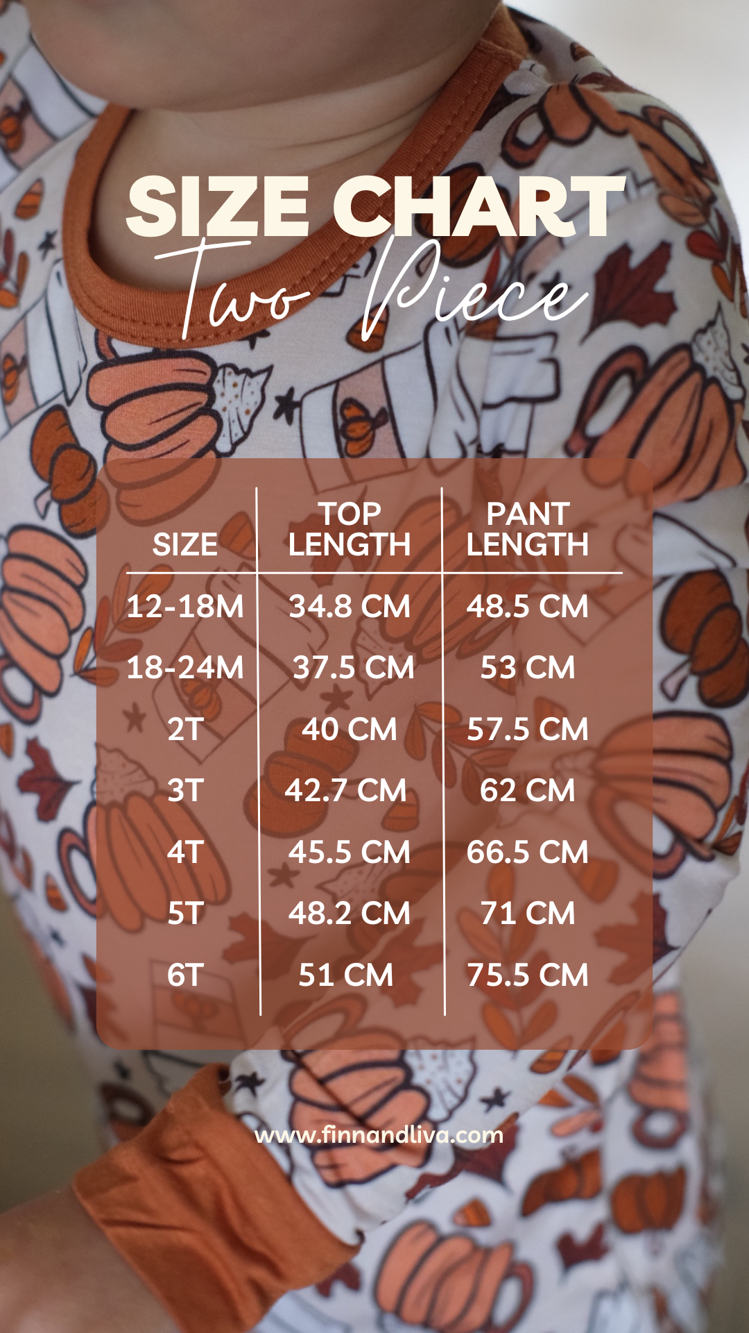 Vintage Pooh Halloween - Two Piece