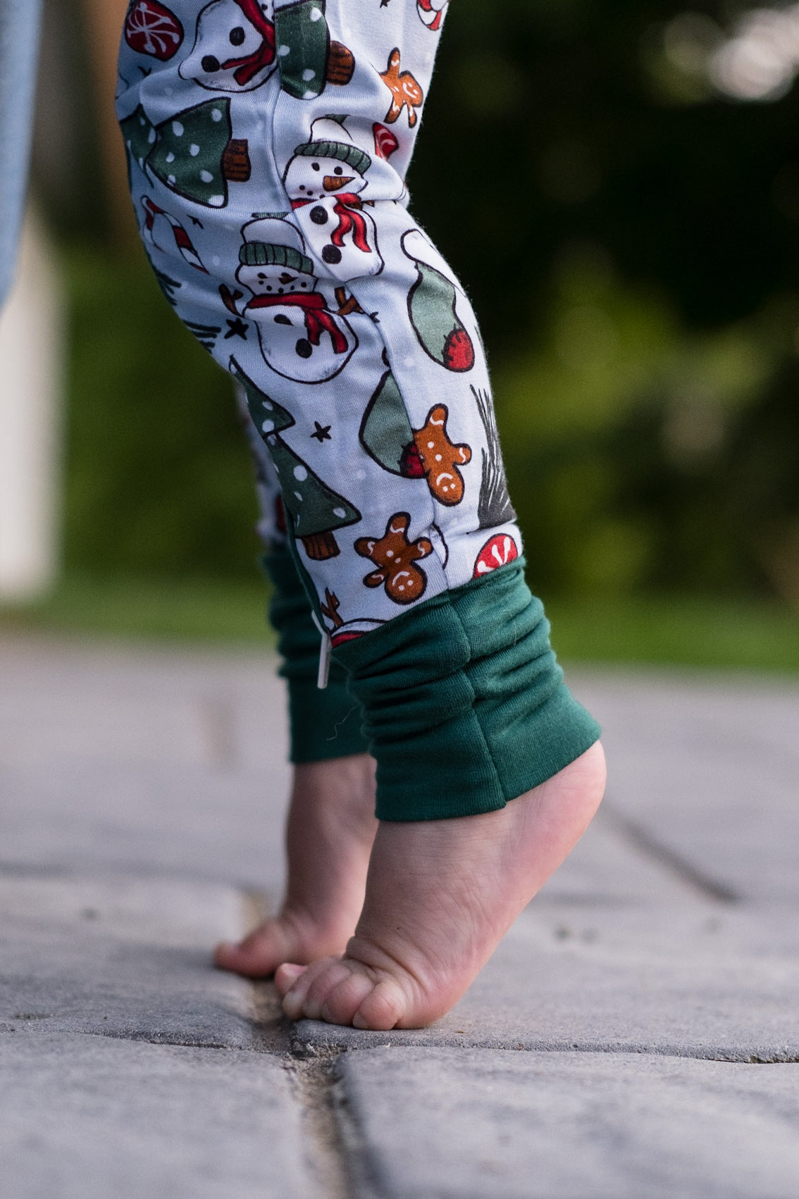 Snow Place Like Home Zippy